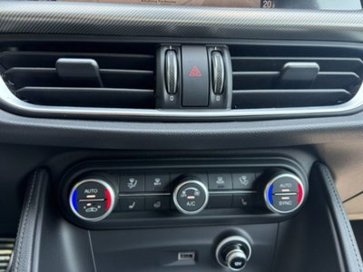 Alfa Romeo Stelvio Stelvio 2.2 Turbodiesel 210 CV AT8 Q4 Veloce (19)