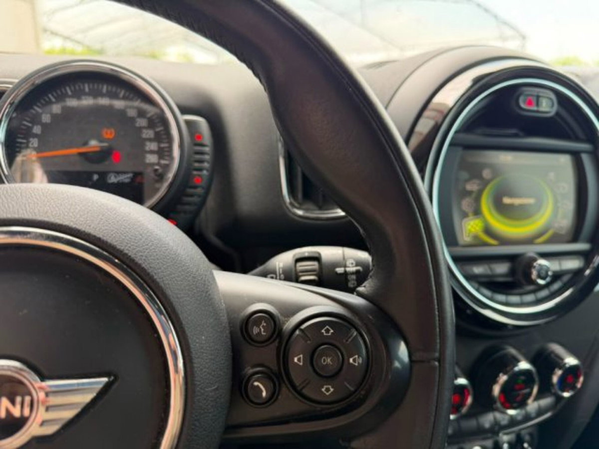 MINI Mini Countryman 2.0 Cooper D Business Countryman ALL4 Automatica (10)