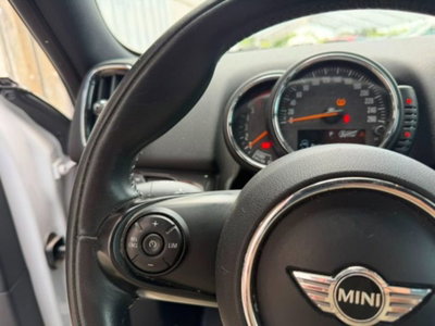 MINI Mini Countryman 2.0 Cooper D Business Countryman ALL4 Automatica (13)