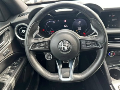 Alfa Romeo Stelvio Stelvio 2.2 Turbodiesel 210 CV AT8 Q4 Veloce (15)