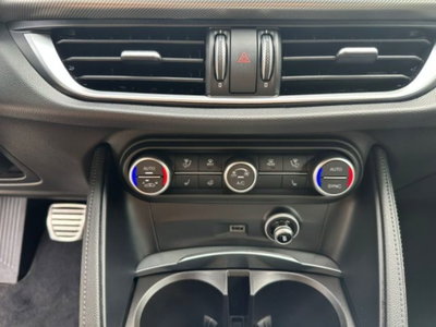 Alfa Romeo Stelvio Stelvio 2.2 Turbodiesel 210 CV AT8 Q4 Veloce (8)