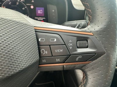 Cupra Formentor Formentor 2.0 TDI (13)