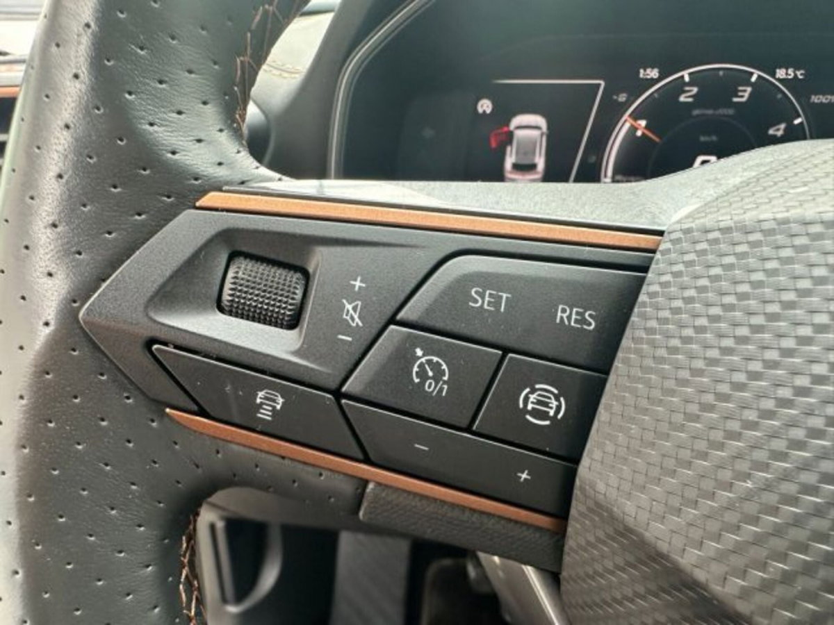 Cupra Formentor Formentor 2.0 TDI (14)