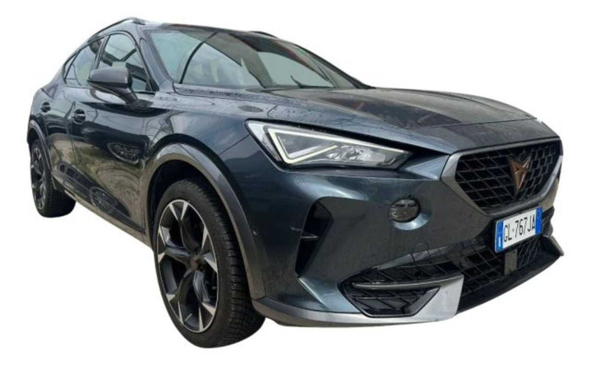 Cupra Formentor Formentor 2.0 TDI (4)