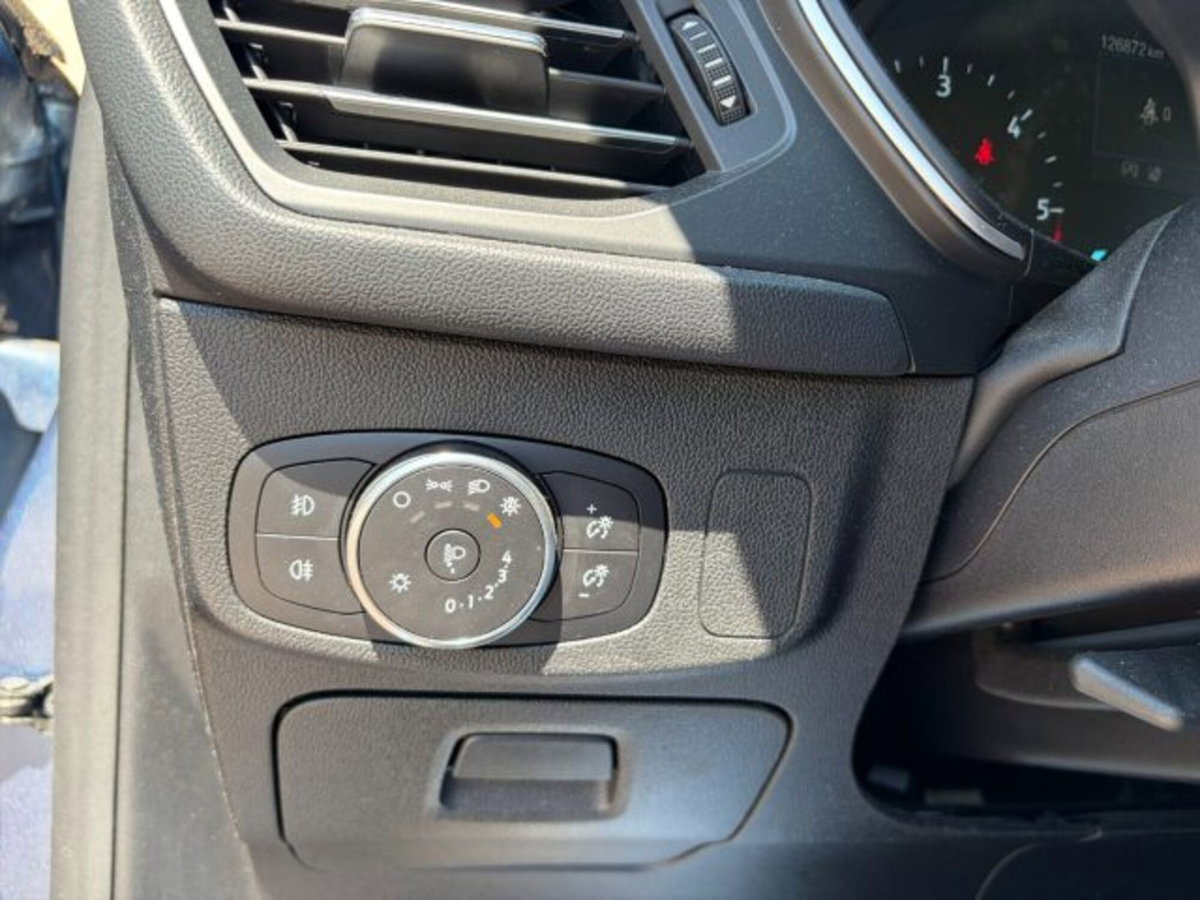 Ford Focus Station Wagon 1.5 EcoBlue 120 CV automatico SW Business (14)