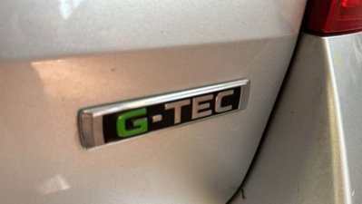 Skoda Octavia Station Wagon 1.5 G-TEC DSG Wagon Style (9)