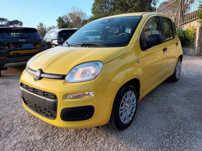 Fiat Pandina 1.0 firefly hybrid Pop s&s 65cv (2)