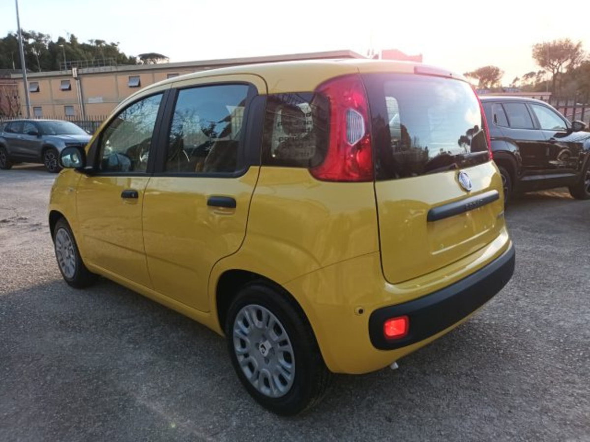Fiat Pandina 1.0 firefly hybrid Pop s&s 65cv (3)