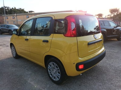 Fiat Pandina 1.0 firefly hybrid Pop s&s 65cv (3)
