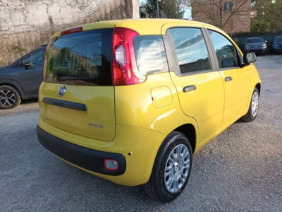 Fiat Pandina 1.0 firefly hybrid Pop s&s 65cv (4)