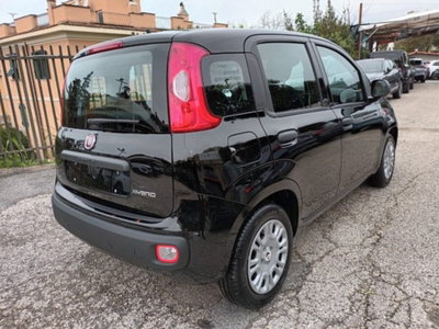 Fiat Panda 1.0 firefly hybrid s&s 70cv 5p.ti (4)