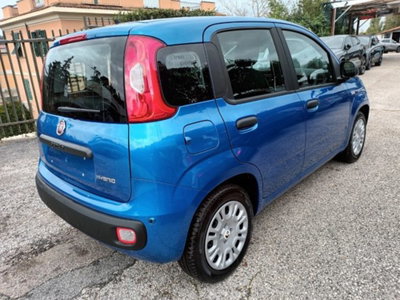 Fiat Panda 1.0 firefly hybrid s&s 70cv 5p.ti (4)