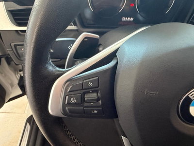 BMW X1 sDrive18d xLine Plus (9)