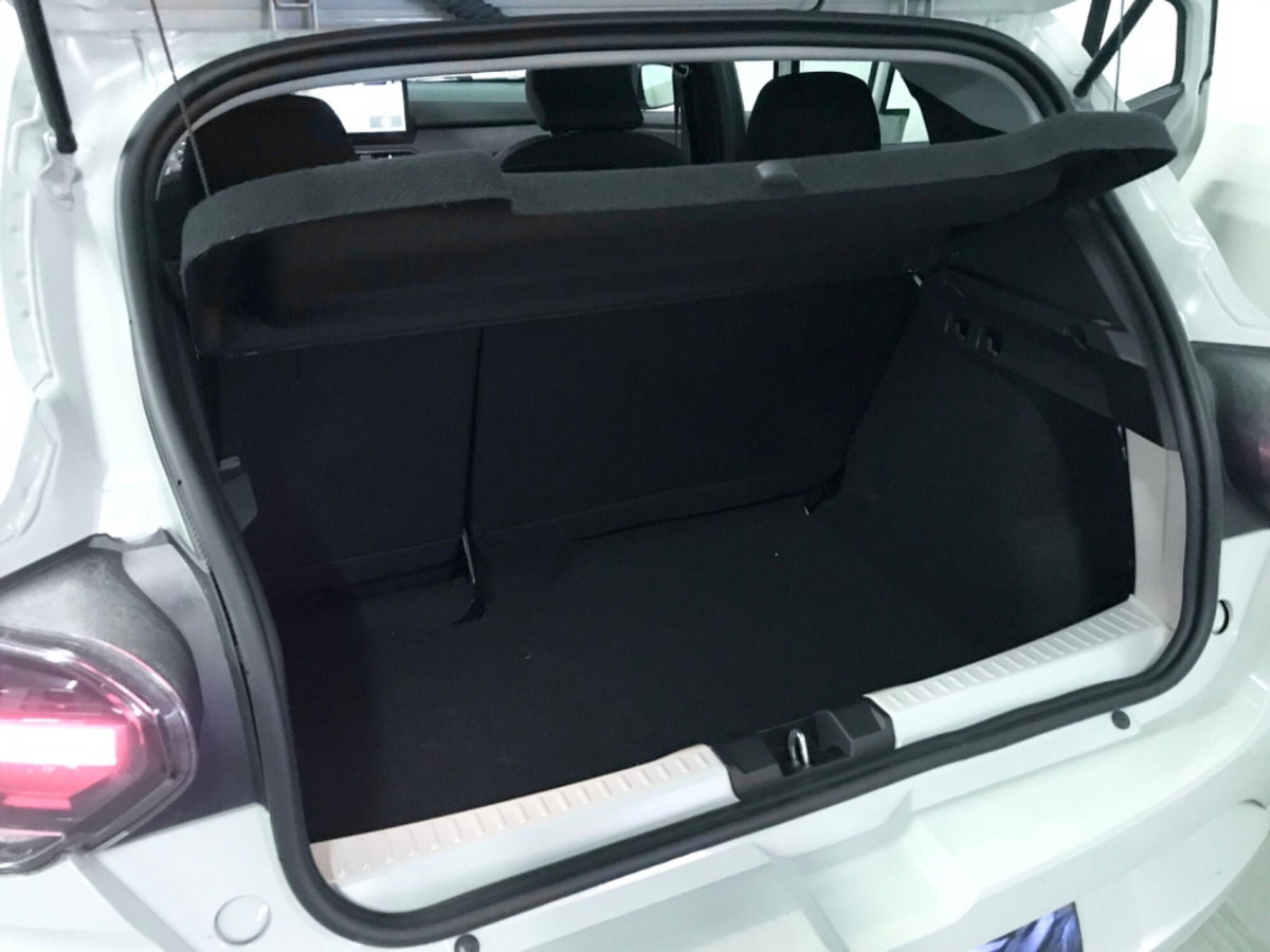 Dacia Sandero Stepway 1.0 TCe 110 CV Expression (17)