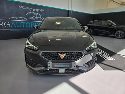 Cupra Leon Leon 2.0 tdi 150cv dsg (2)