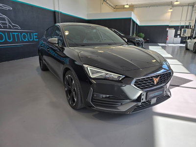 Cupra Leon Leon 2.0 tdi 150cv dsg (3)