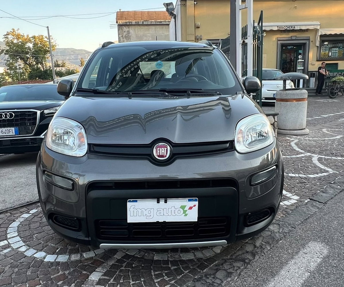 Fiat Panda 1.0 FireFly S&S Hybrid City Life (2)
