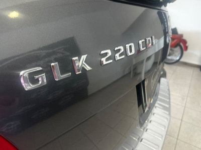 Mercedes-Benz GLK 220 CDI 4Matic BlueEFFICIENCY Edition 1 (15)