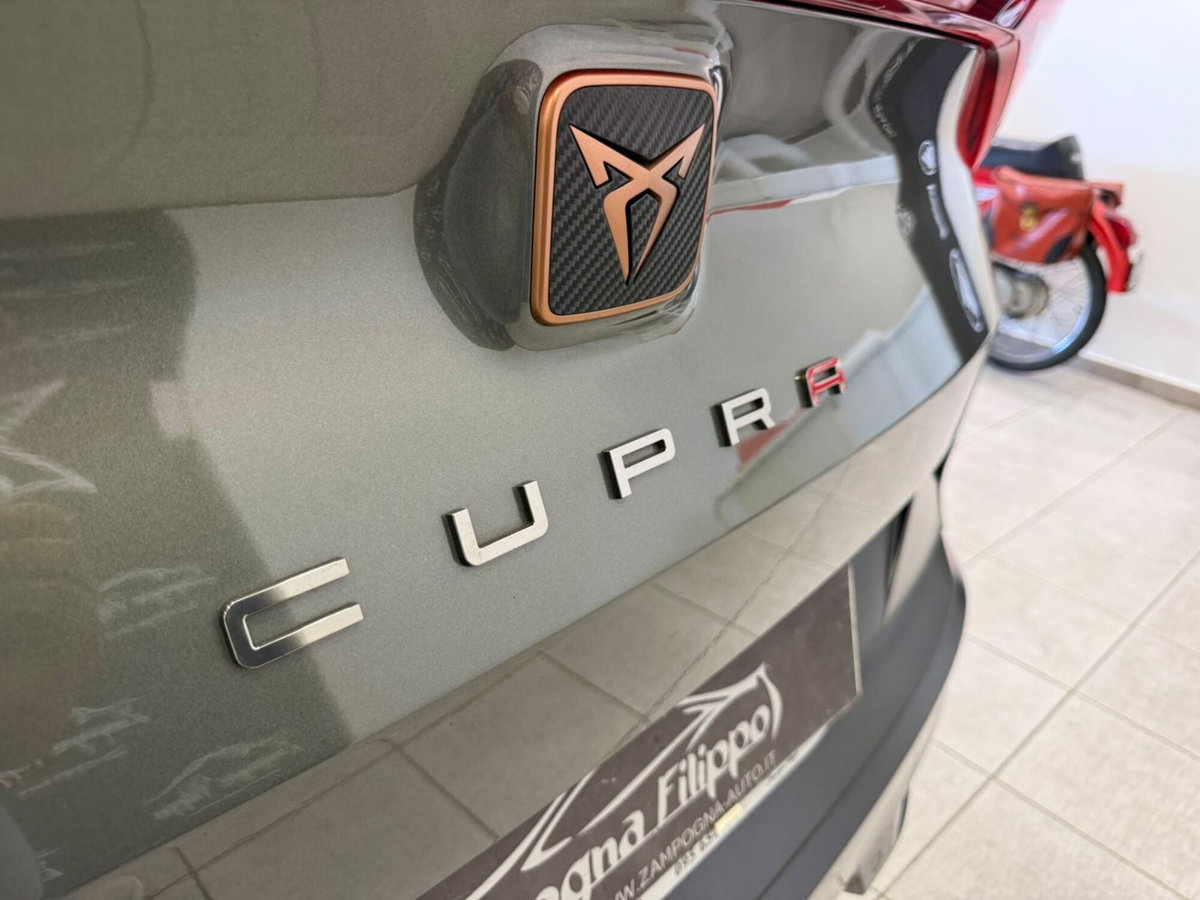 Cupra Formentor Formentor 2.0 TSI DSG VZ (15)