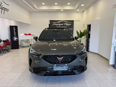 Cupra Formentor Formentor 2.0 TSI DSG VZ (2)