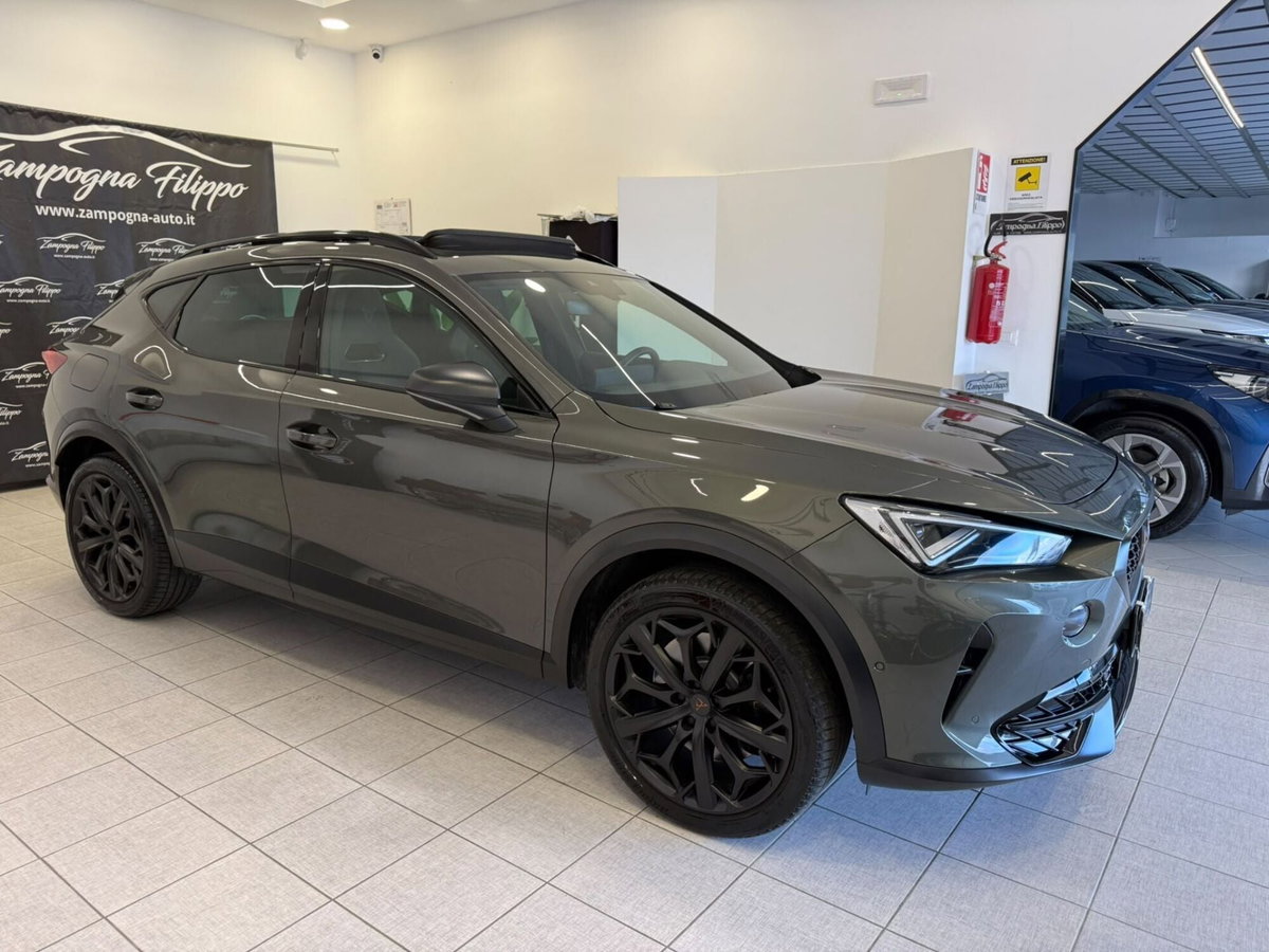 Cupra Formentor Formentor 2.0 TSI DSG VZ (3)