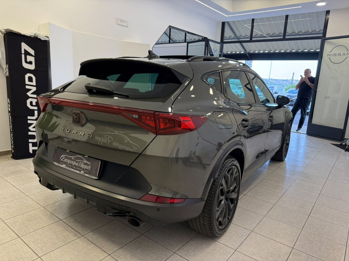 Cupra Formentor Formentor 2.0 TSI DSG VZ (4)
