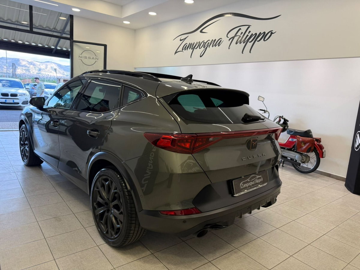 Cupra Formentor Formentor 2.0 TSI DSG VZ (6)