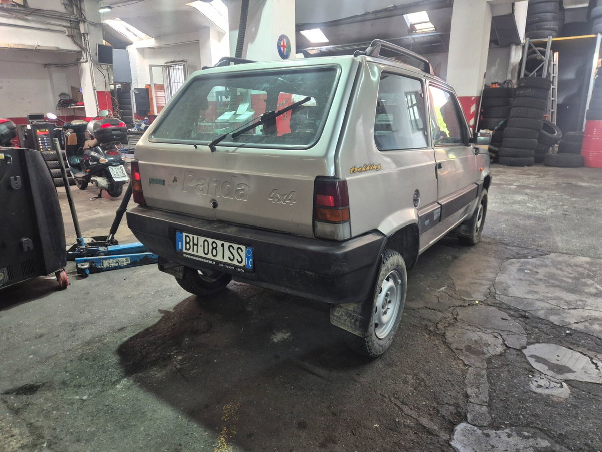 Fiat Panda 1100 i.e. cat 4x4 Trekking (2)
