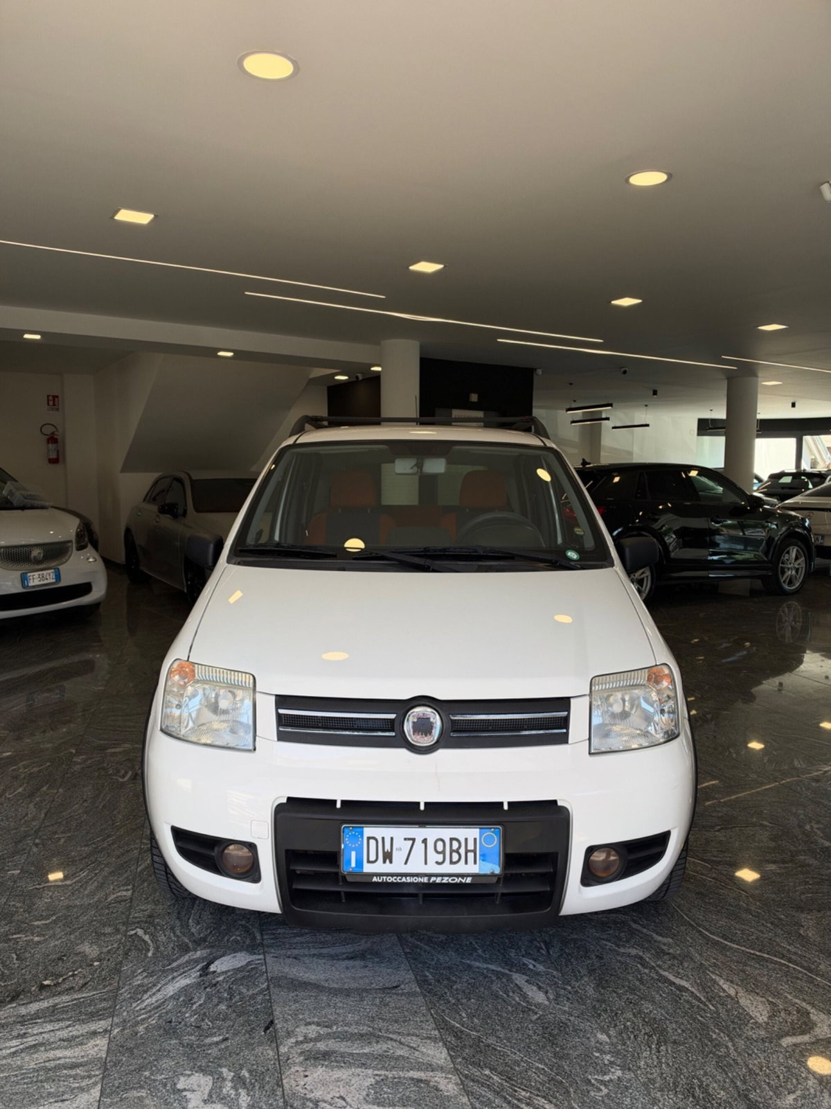 Fiat Panda 1.2 Climbing Natural Power (6)