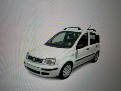 Fiat Panda 1.2 Dynamic usata