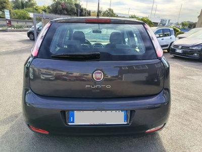 Fiat Punto 1.2 8V 5 porte Lounge (8)
