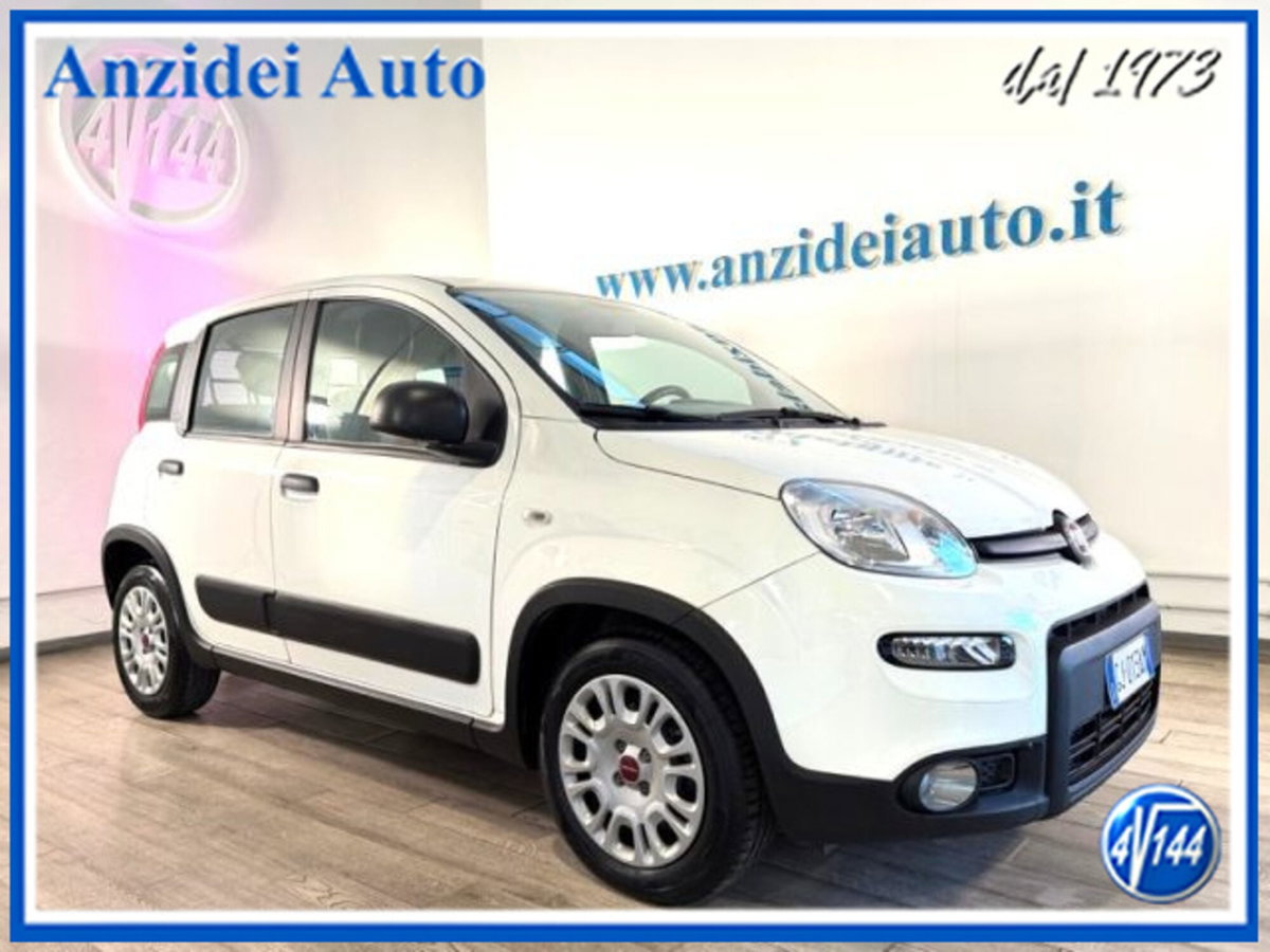 Fiat Panda van 1.0 hybrid Street 70cv 4p.ti serie 4 E6d
