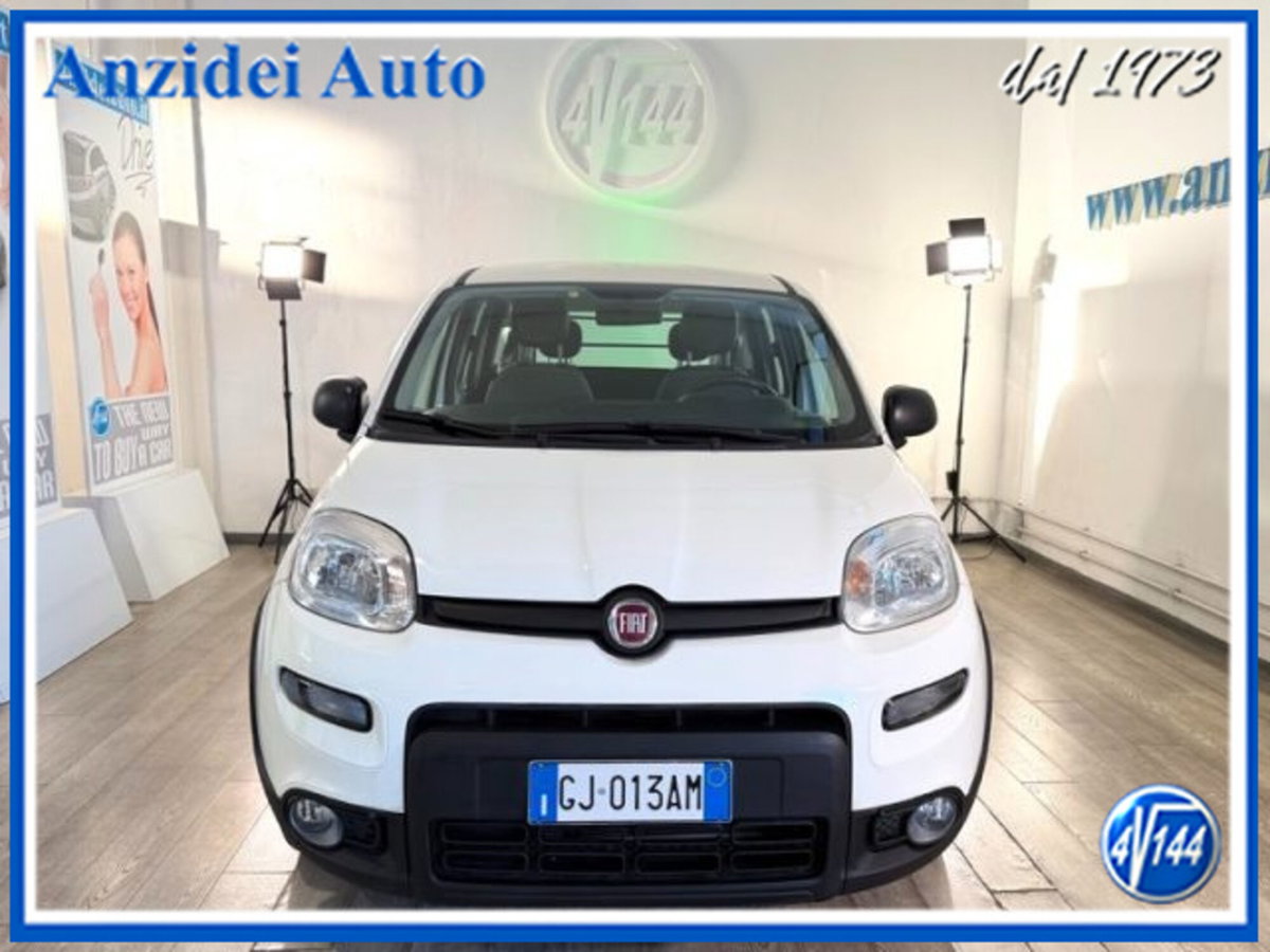 Fiat Panda van 1.0 hybrid Street 70cv 4p.ti serie 4 E6d (2)