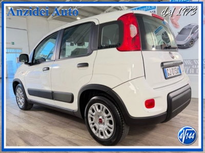 Fiat Panda van 1.0 hybrid Street 70cv 4p.ti serie 4 E6d (4)