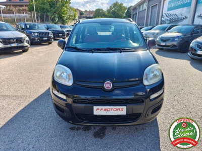 Fiat Panda 1.2 EasyPower Easy usata