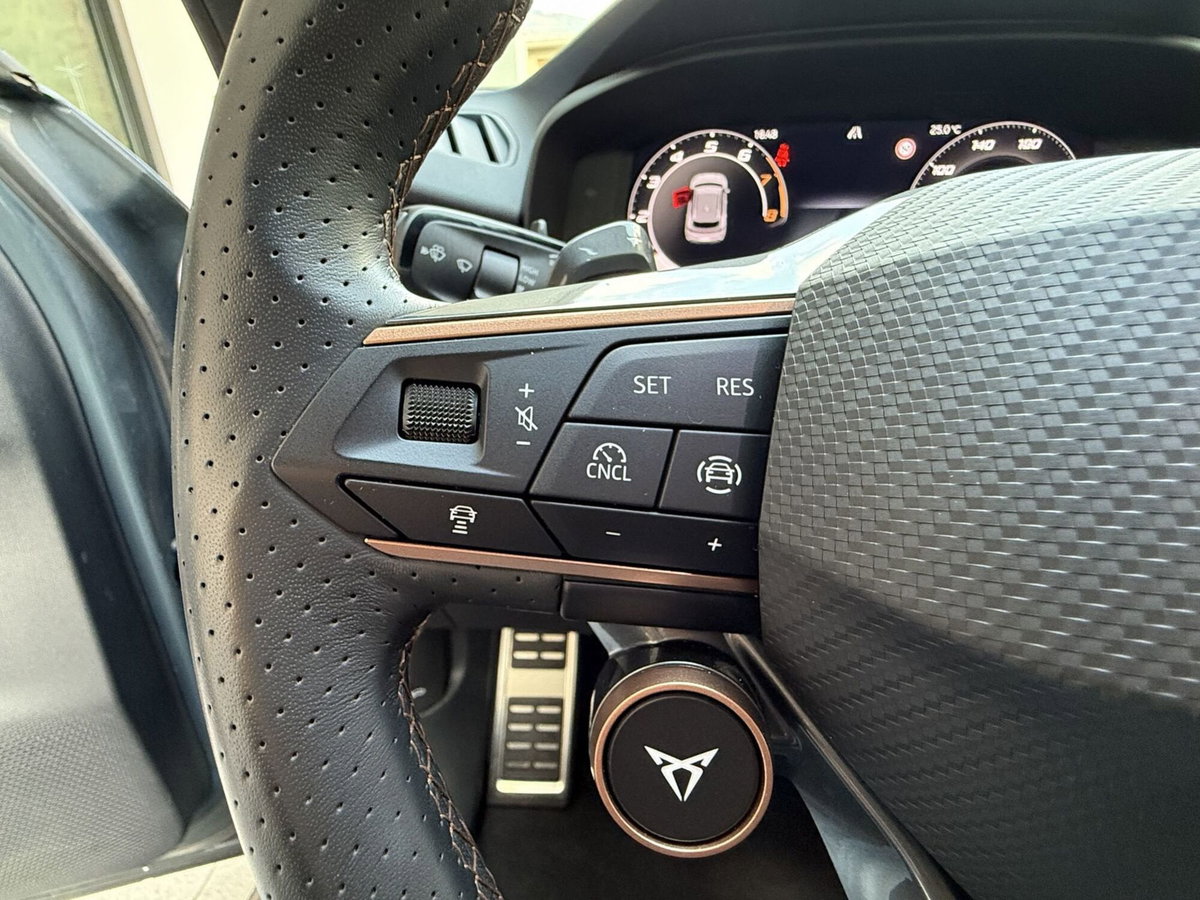 Cupra Terramar 1.5 hybrid 150cv dsg (14)