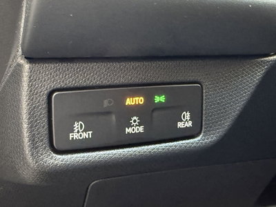 Cupra Terramar 1.5 hybrid 150cv dsg (17)