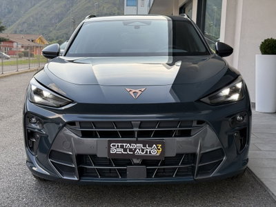 Cupra Terramar 1.5 hybrid 150cv dsg (19)
