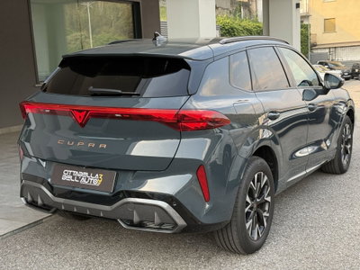 Cupra Terramar 1.5 hybrid 150cv dsg (3)