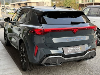 Cupra Terramar 1.5 hybrid 150cv dsg (4)