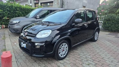 Fiat Panda 1.0 firefly hybrid s&s 70cv 5p.ti usata