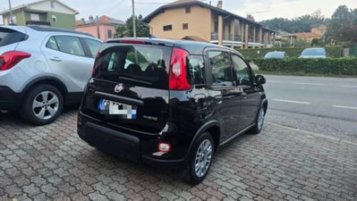Fiat Panda 1.0 firefly hybrid s&s 70cv 5p.ti (4)