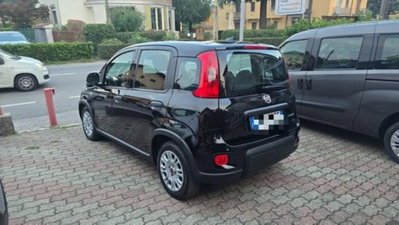 Fiat Panda 1.0 firefly hybrid s&s 70cv 5p.ti (5)