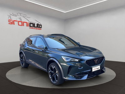 Cupra Formentor Formentor 2.0 tsi 4drive 190cv dsg (10)