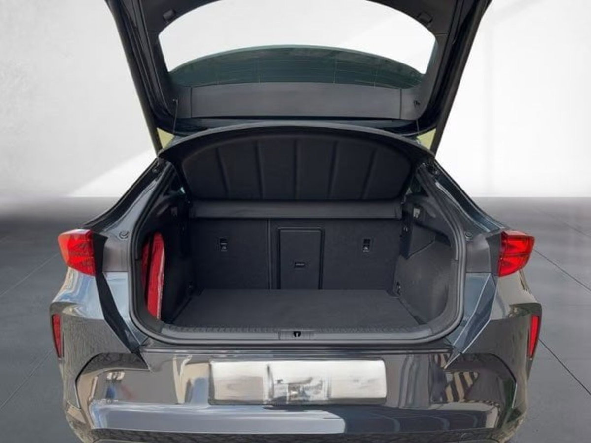 Cupra Formentor Formentor 2.0 TDI (10)