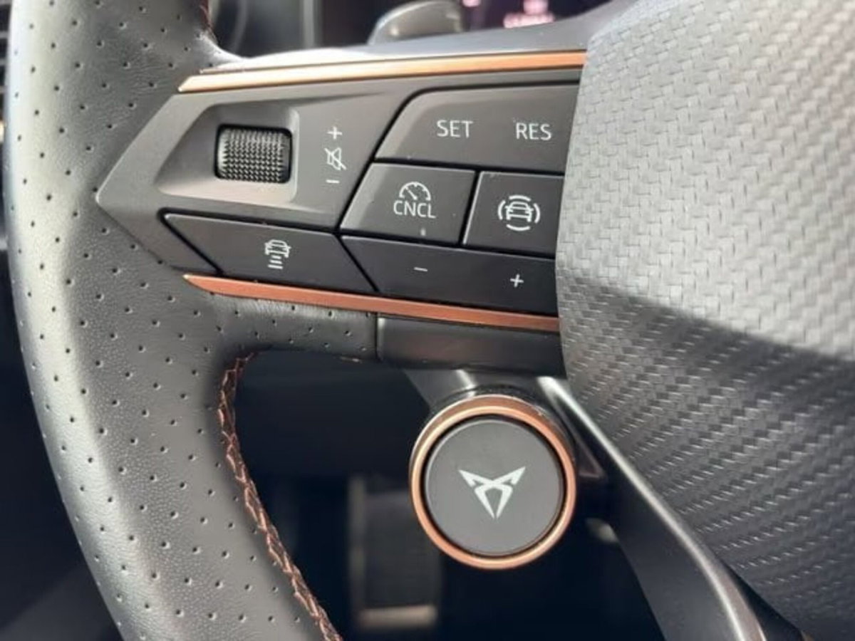 Cupra Formentor Formentor 2.0 TDI (14)