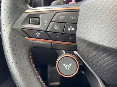Cupra Formentor Formentor 2.0 TDI (14)