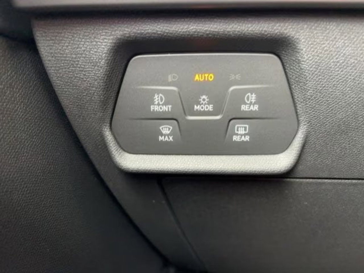 Cupra Formentor Formentor 2.0 TDI (19)