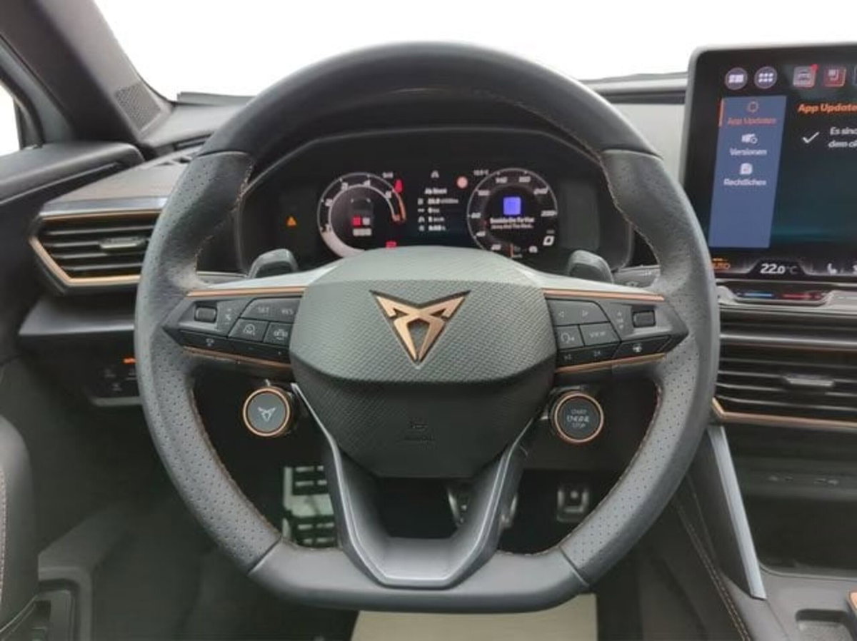Cupra Formentor Formentor 2.0 TDI (12)