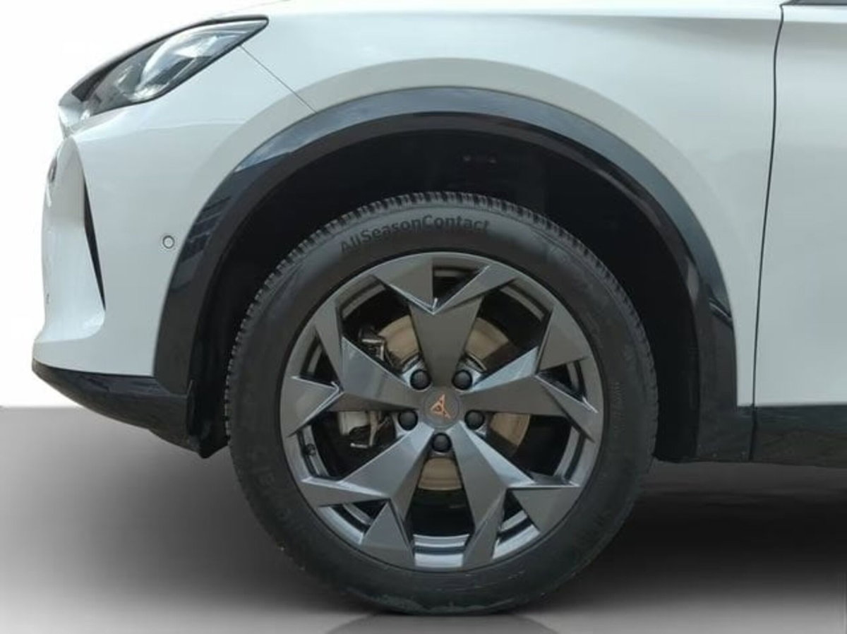 Cupra Formentor Formentor 2.0 TDI (15)